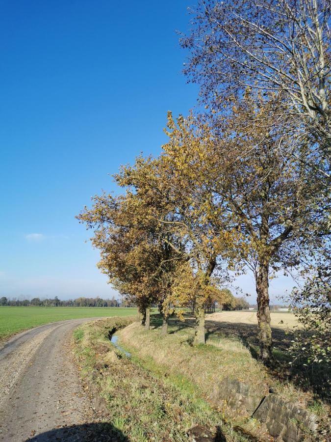 Heeser Hof - Urlaub im Grünen Weeze Exterior foto